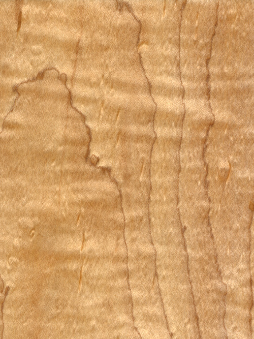 カーリーメイプル☆ツキイタ☆連板25枚トップ 貼り付け用